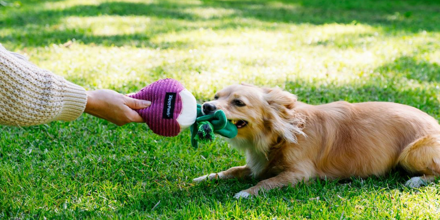 Radis - Peluche pour chien