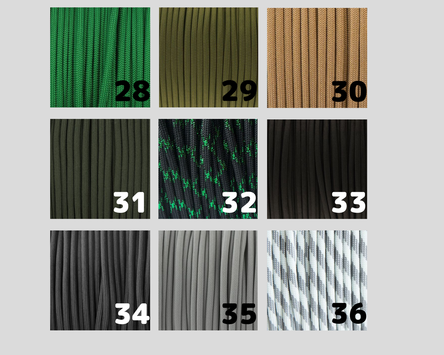 Longe + Collier à attache réglable
