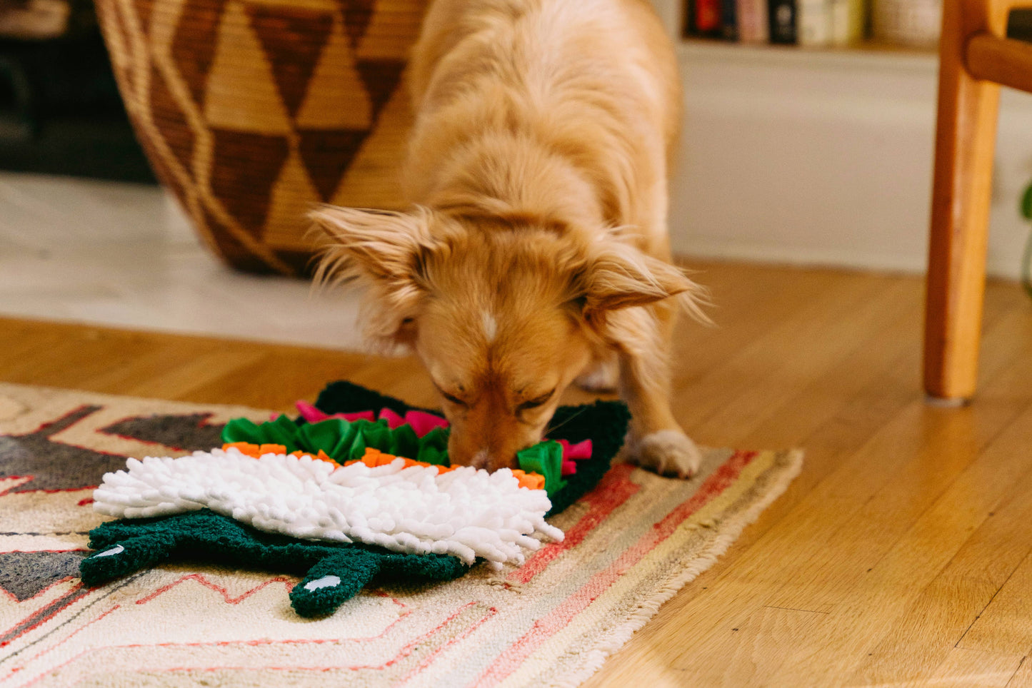 Sushi - Tapis de fouille
