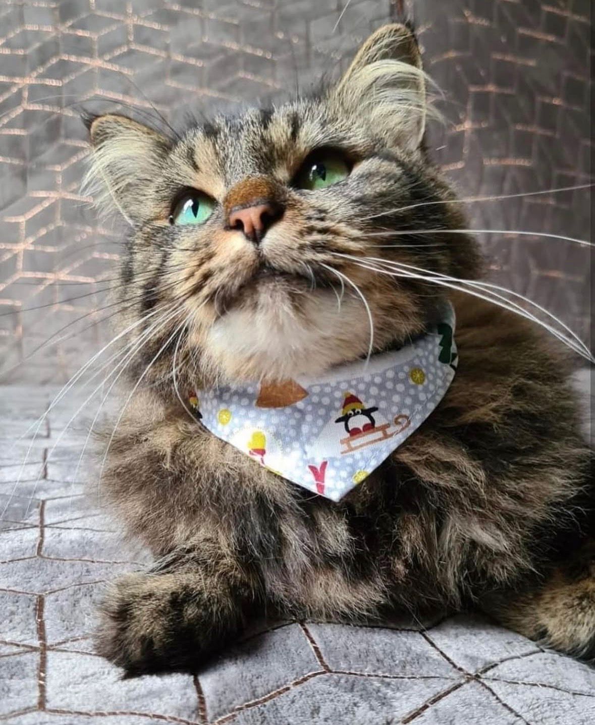 Bandana "Village de noël"