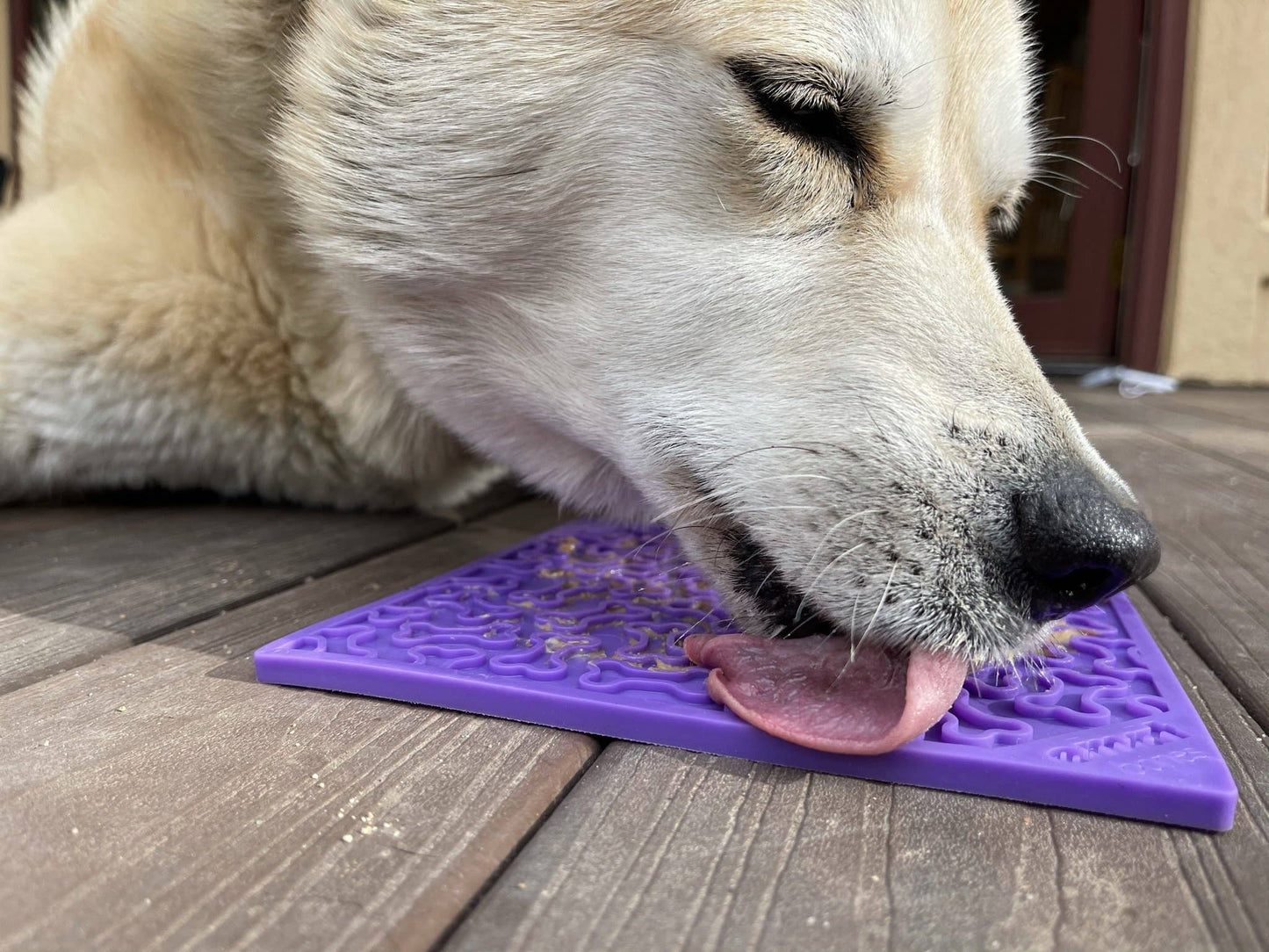 Tapis de léchage "os" violet - Taille L