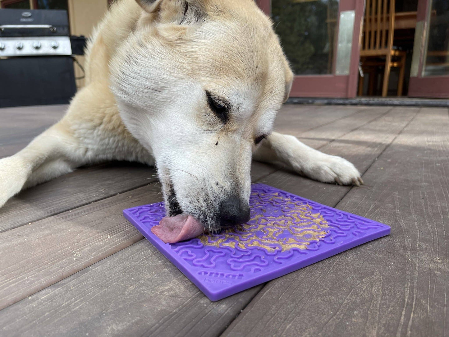 Tapis de léchage "os" violet - Taille L
