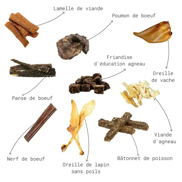Pack Découverte Mastication