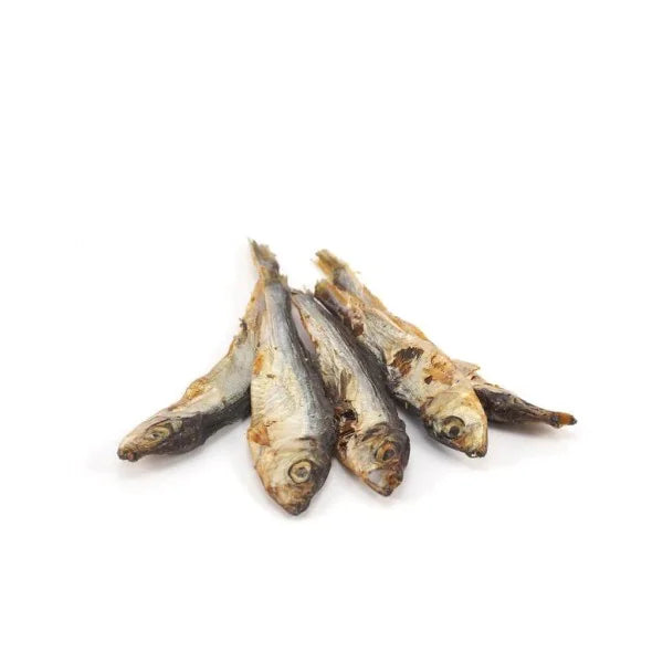 Sprats pour chat