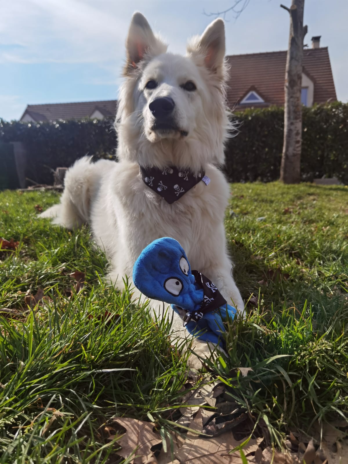 Bandana Tête de Mort