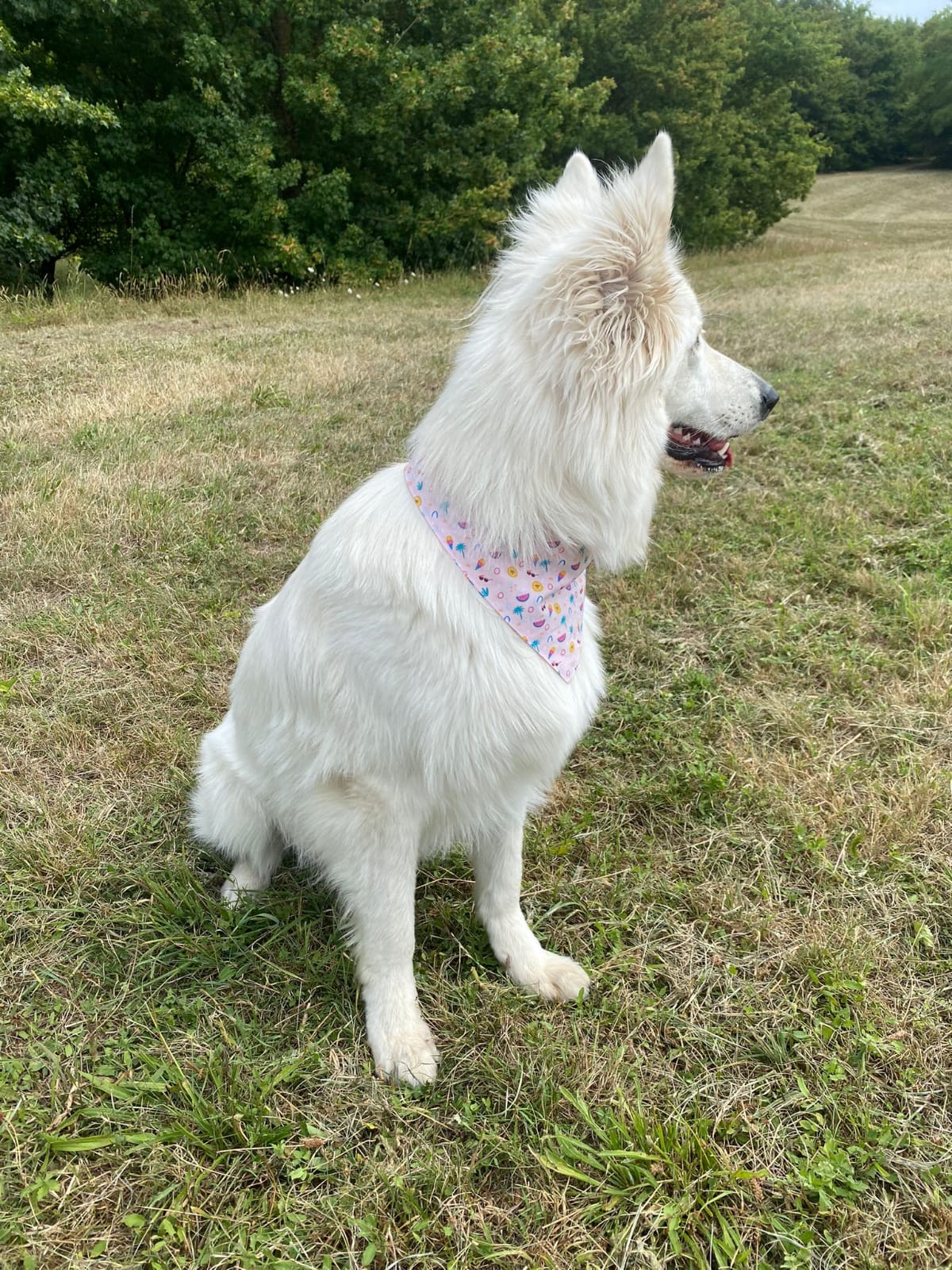 Bandana "Summer"