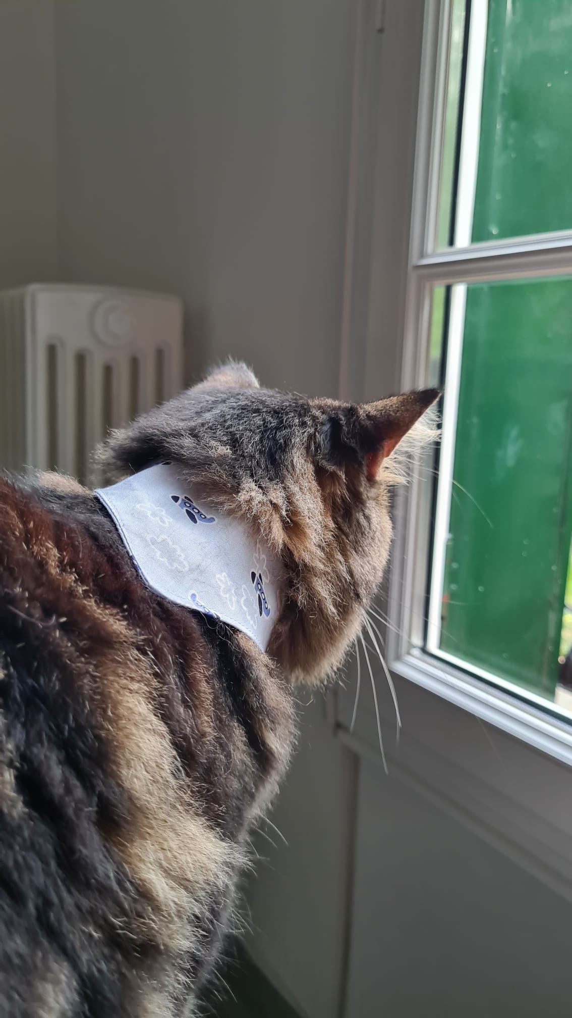 Bandana "Avions"