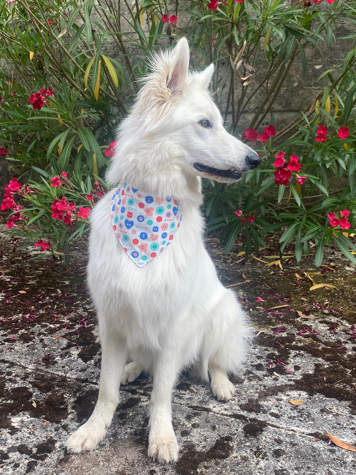 Bandana Couture