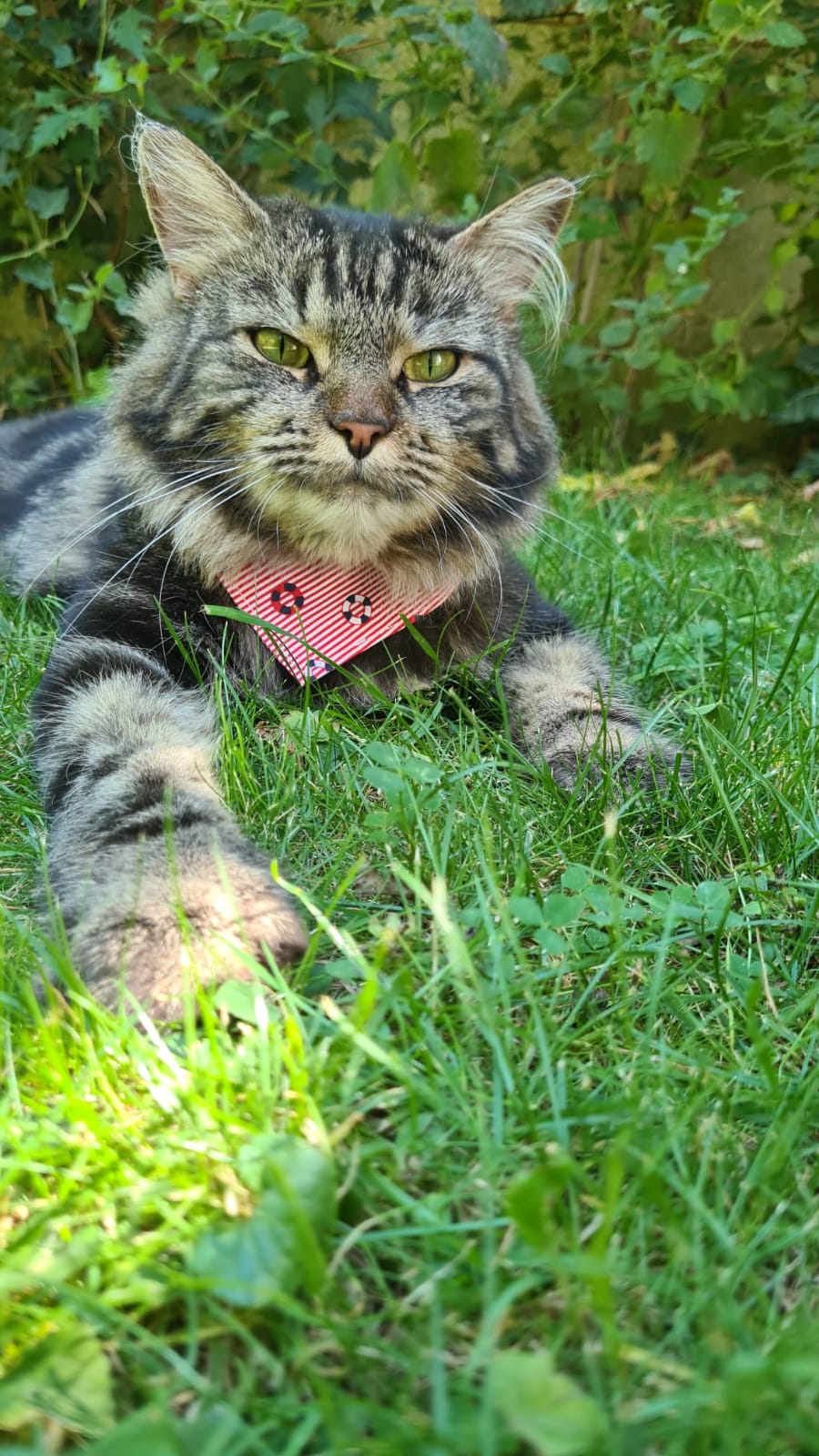Bandana "Marin"
