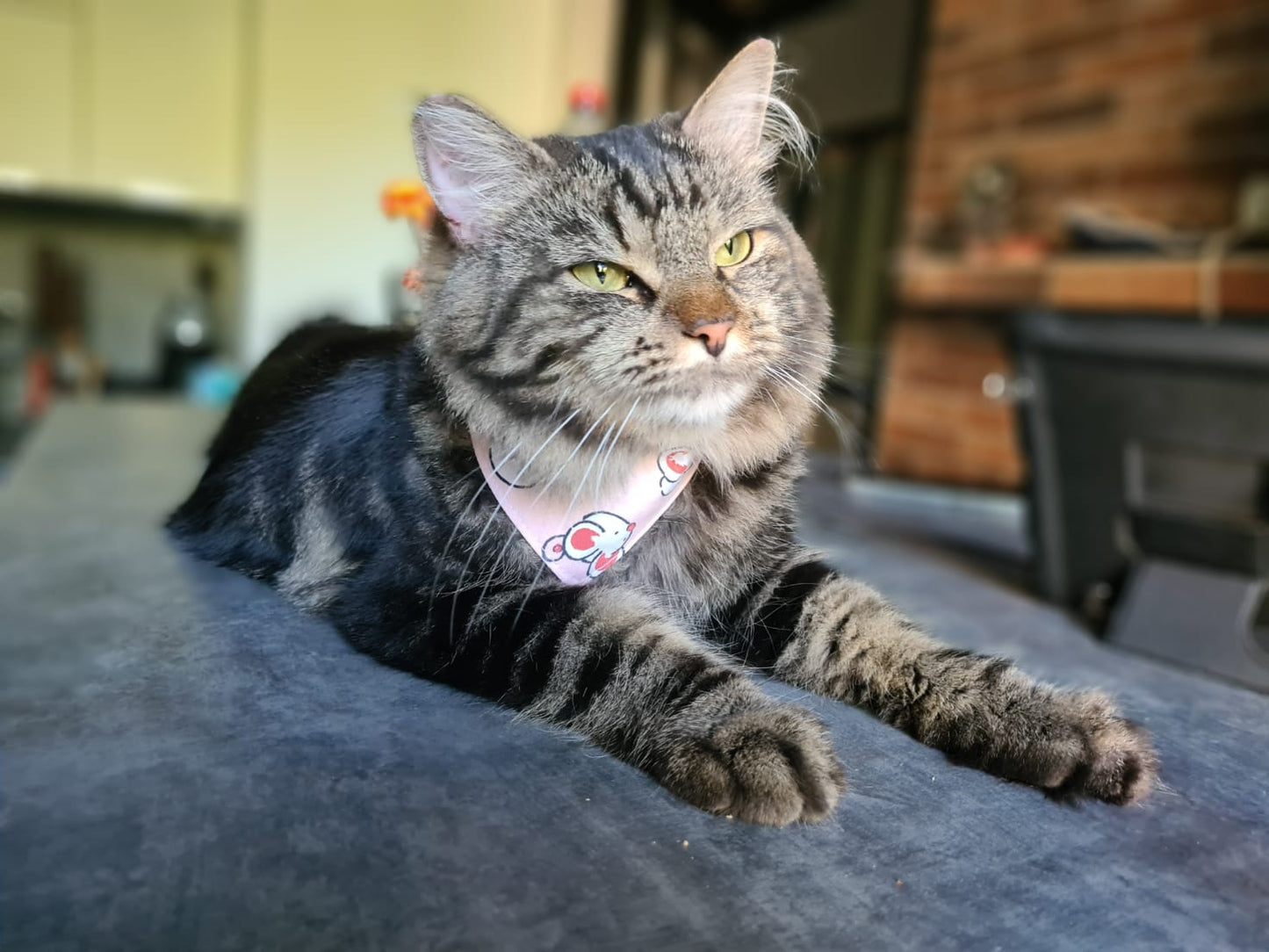 Bandana "Souris"