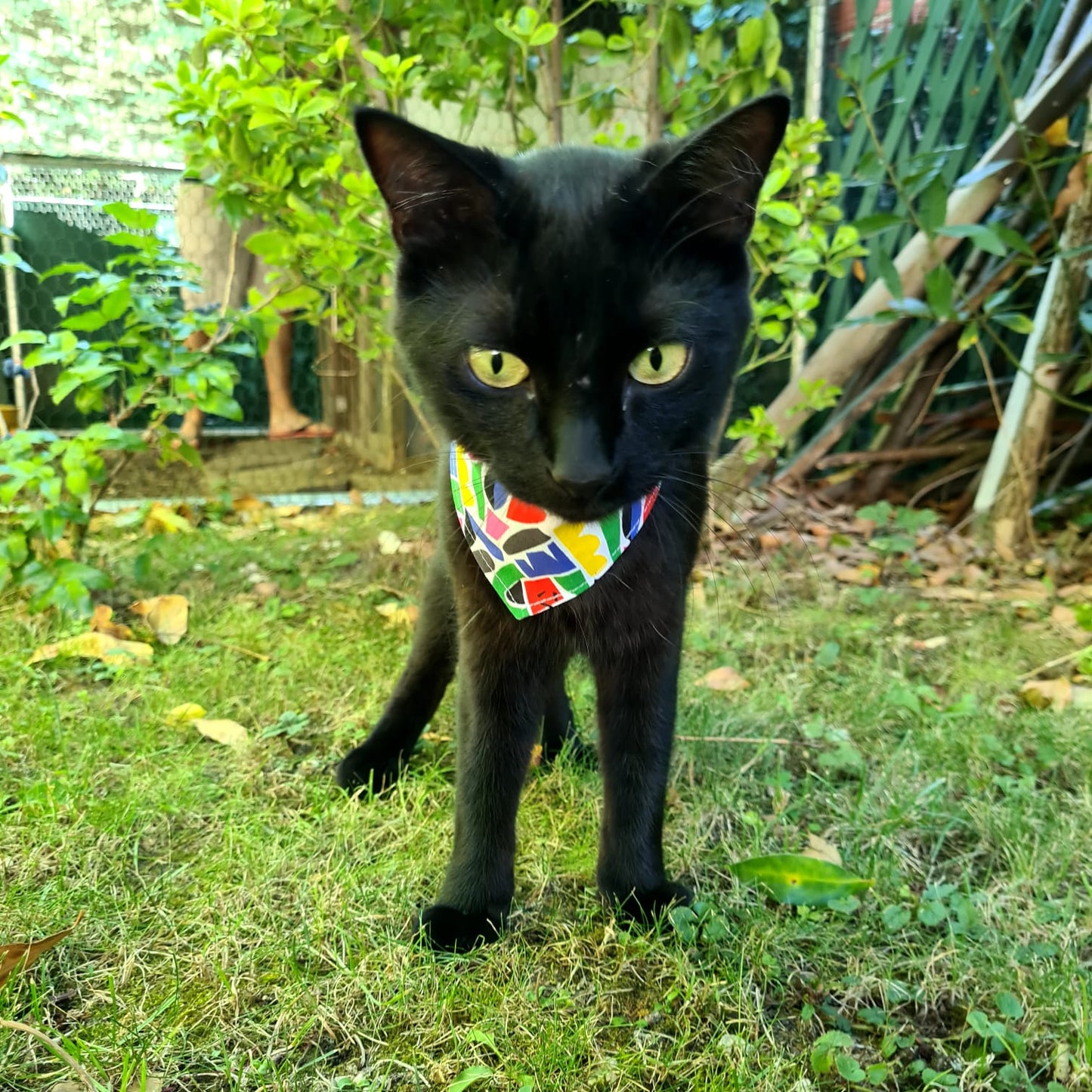 Bandana "Colors"