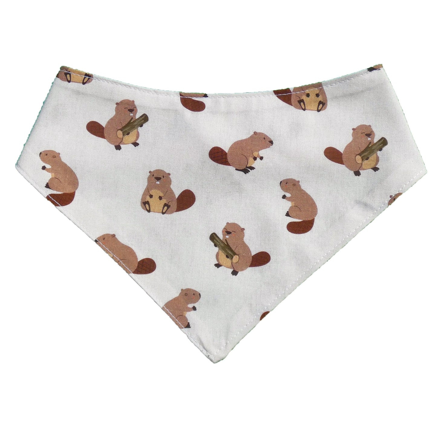 Bandana Castors