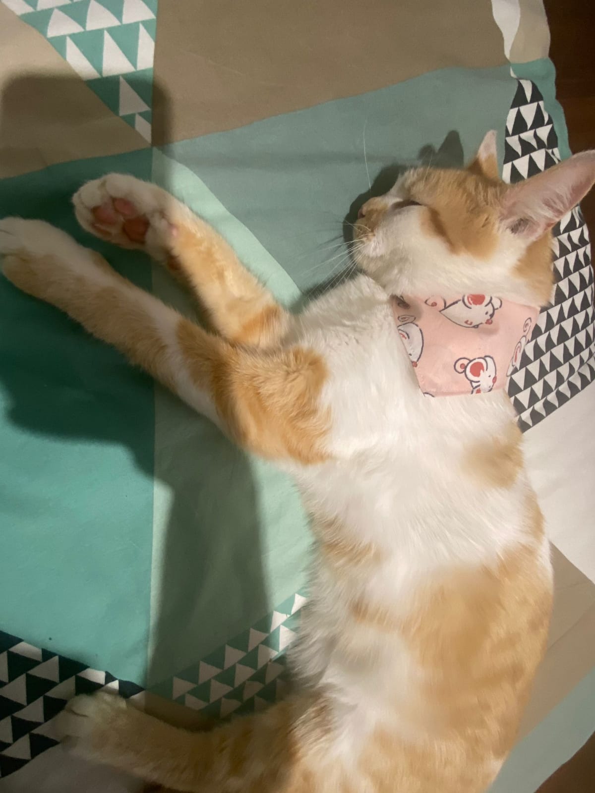 Bandana "Souris"