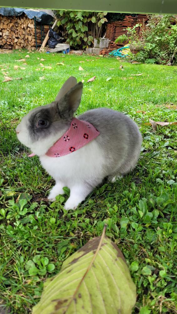 Bandana "Marin"