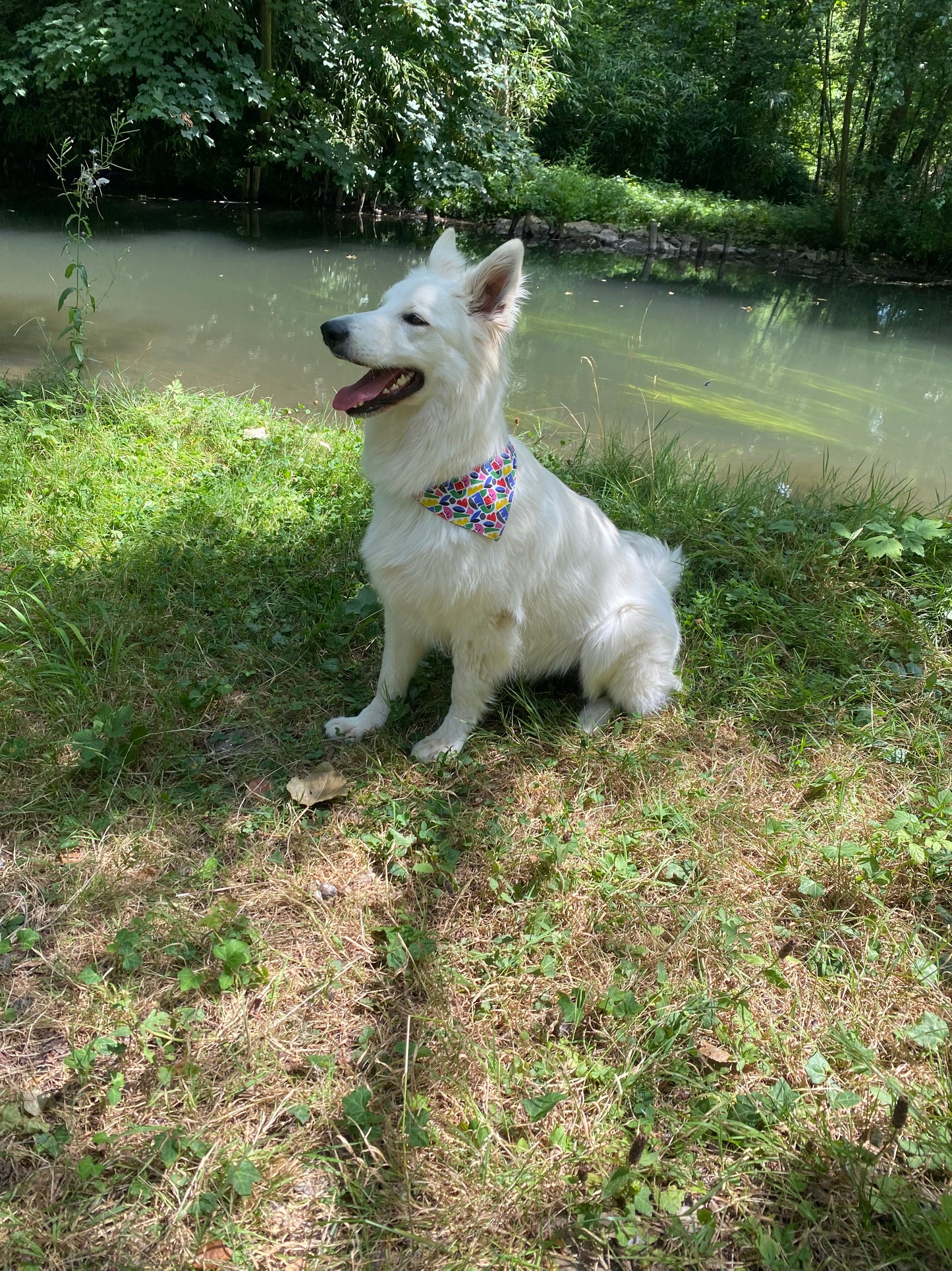 Bandana Colors