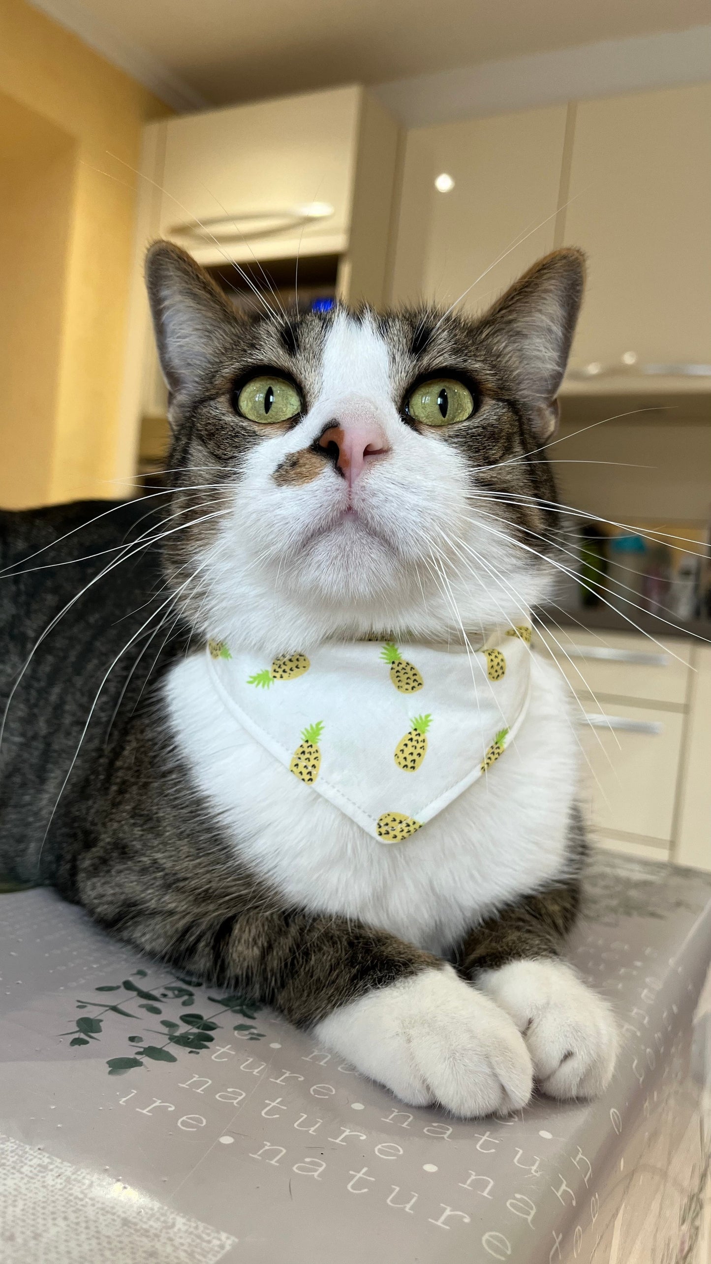 Bandana "Ananas"