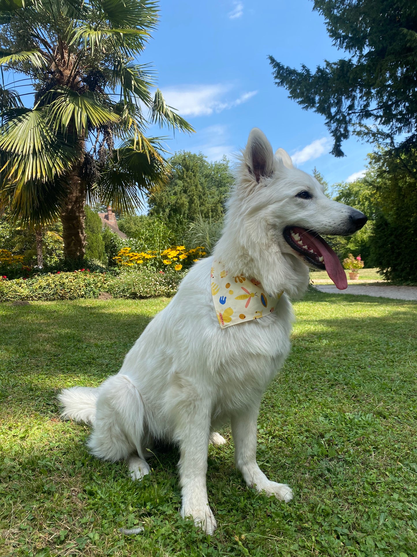 Bandana Spring
