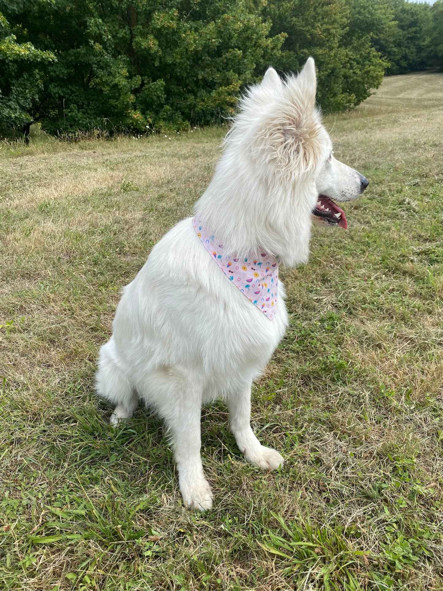 Bandana Summer