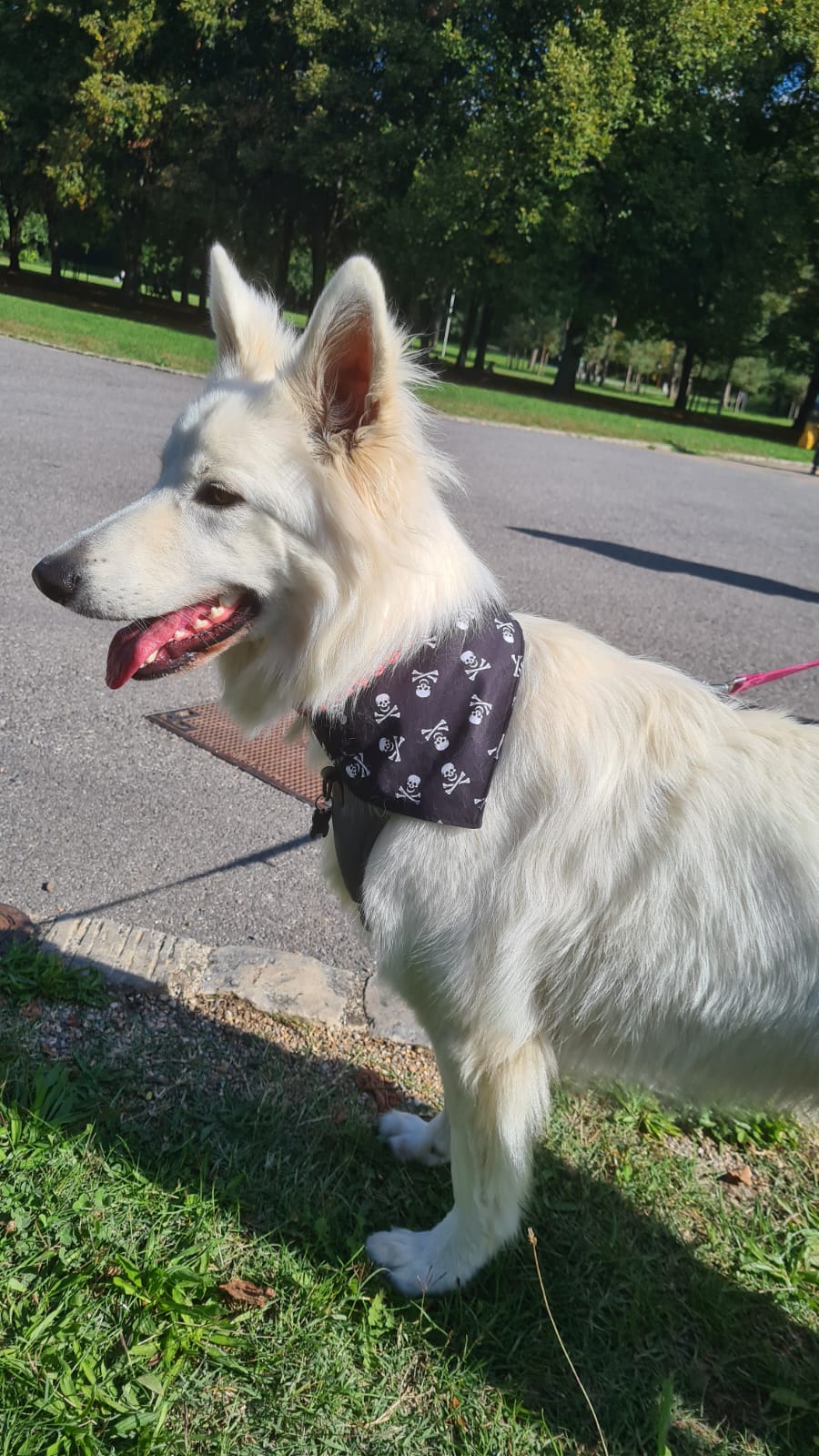 Bandana Tête de Mort