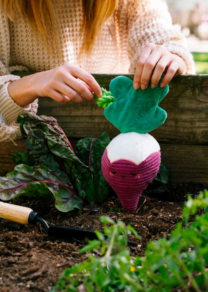 Radis - Peluche pour chien