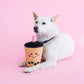 Bubble Tea - peluche pour chien