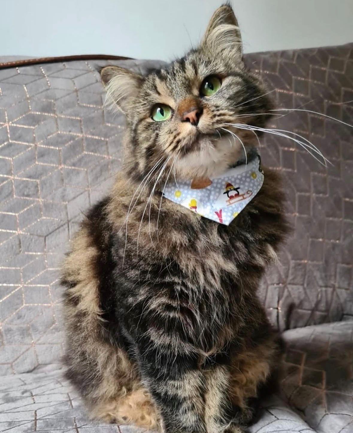 Bandana "Village de noël"