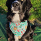 Bandana Donut de noël