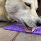 Tapis de léchage "os" violet - Taille L