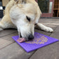 Tapis de léchage "os" violet - Taille L