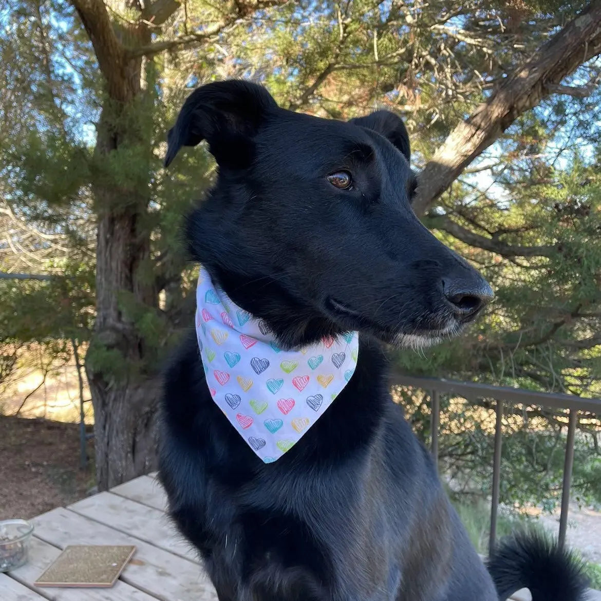 Bandana "Love"
